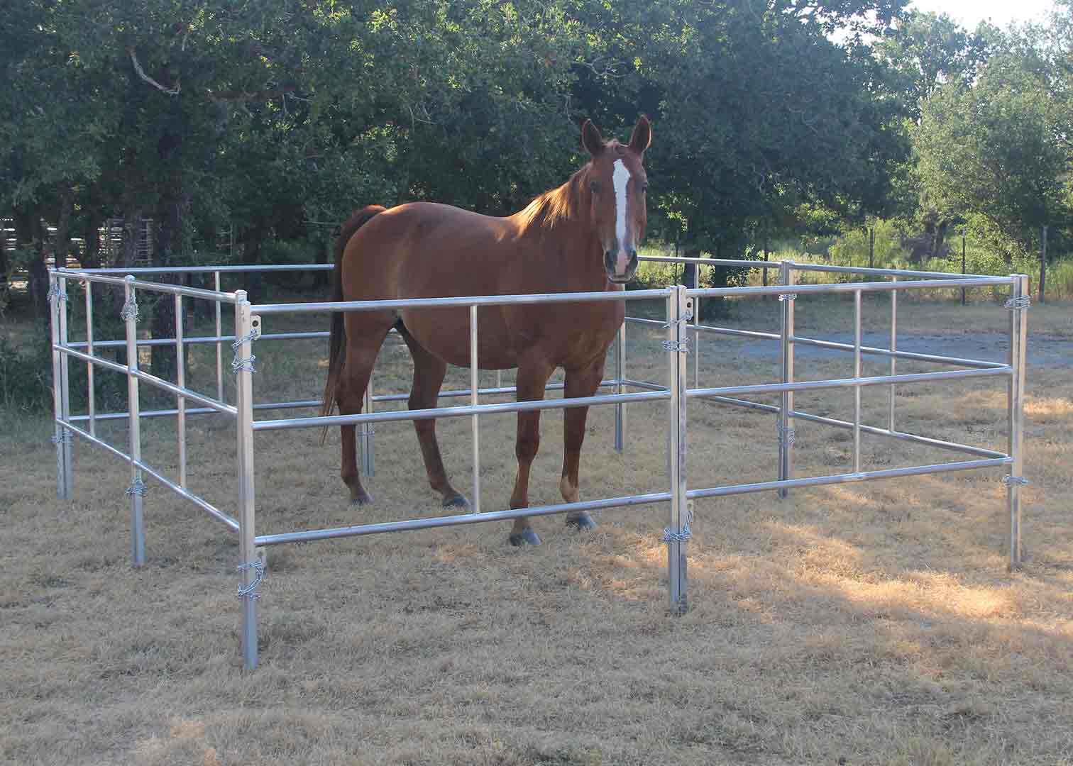 Red River Arenas Cattle and Horse Panels